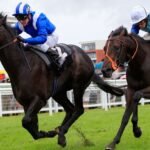 Sporting Life Fast Results