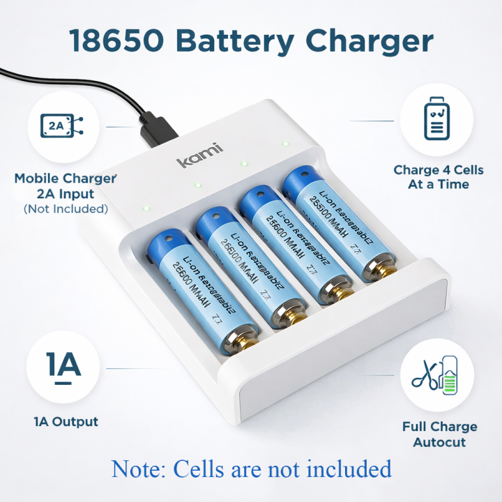 Lithium Battery Charger